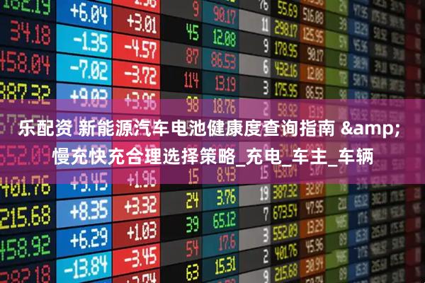 乐配资 新能源汽车电池健康度查询指南 & 慢充快充合理选择策略_充电_车主_车辆